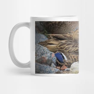 Mallard Hen Mug